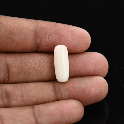Japani White Coral 8.07 Carat