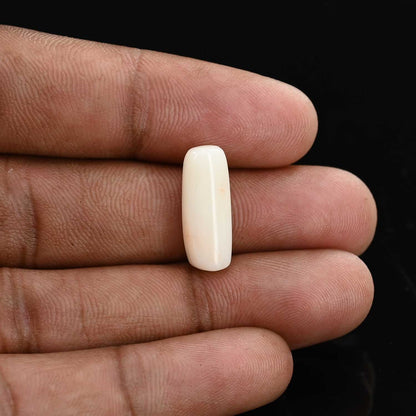 Japani White Coral 8.07 Carat