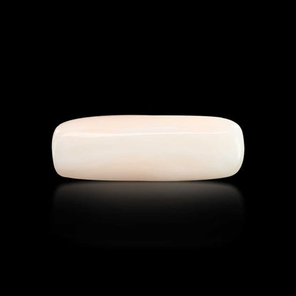 Japani White Coral 6.84 Carat