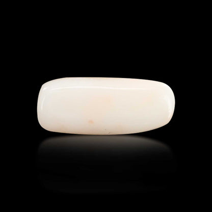 Japani White Coral 5.93 Carat