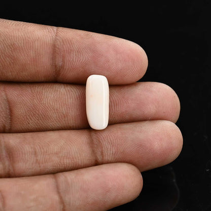 Japani White Coral 5.93 Carat