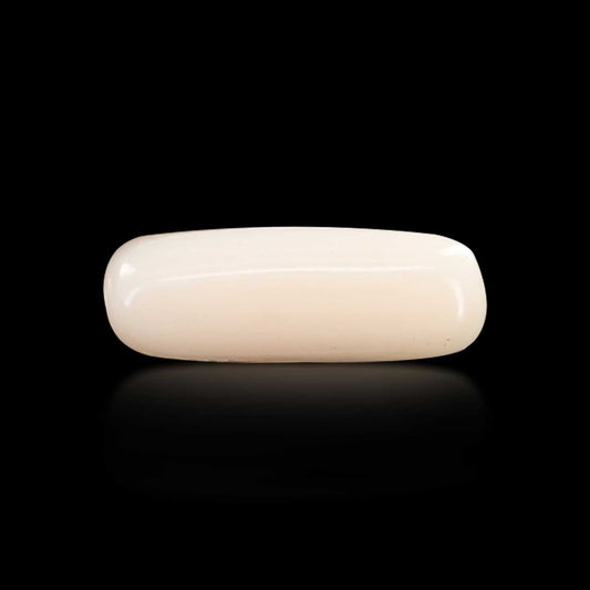 Japani White Coral 5.76 Carat