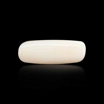 Japani White Coral 5.76 Carat
