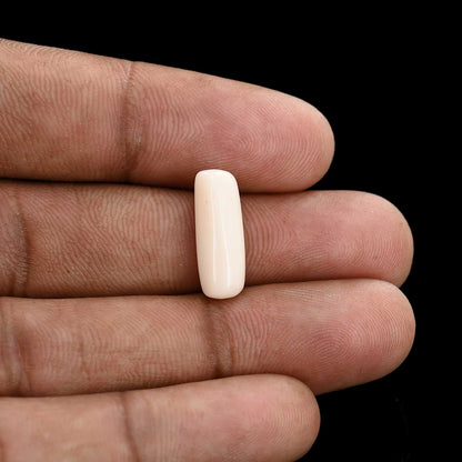 Japani White Coral 5.76 Carat
