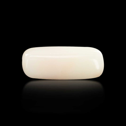 Japani White Coral 6.49 Carat