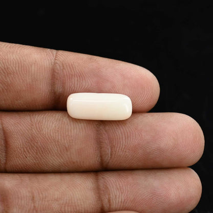 Japani White Coral 6.49 Carat
