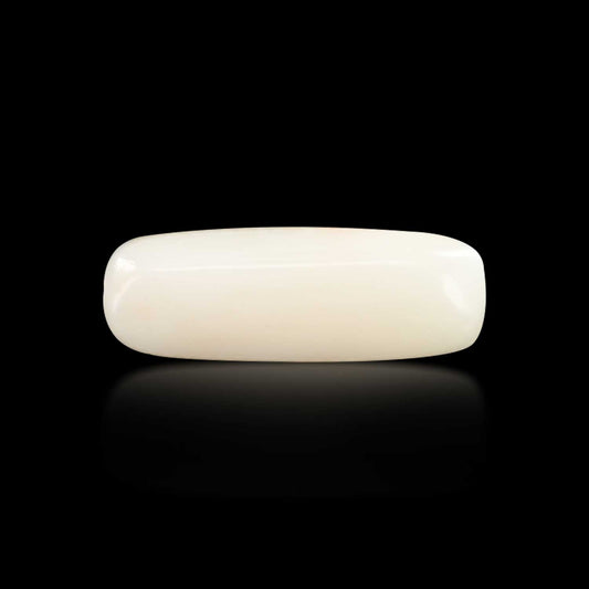 Japani White Coral 7.47 Carat