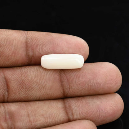 Japani White Coral 7.47 Carat