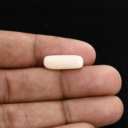 Japani White Coral 6.12 Carat