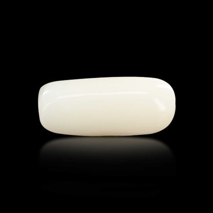 Japani White Coral 6.31 Carat