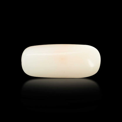 Japani White Coral 6.31 Carat