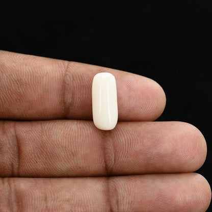 Japani White Coral 6.31 Carat