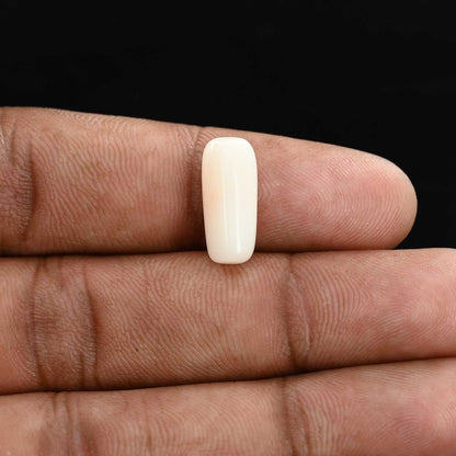 Japani White Coral 6.31 Carat