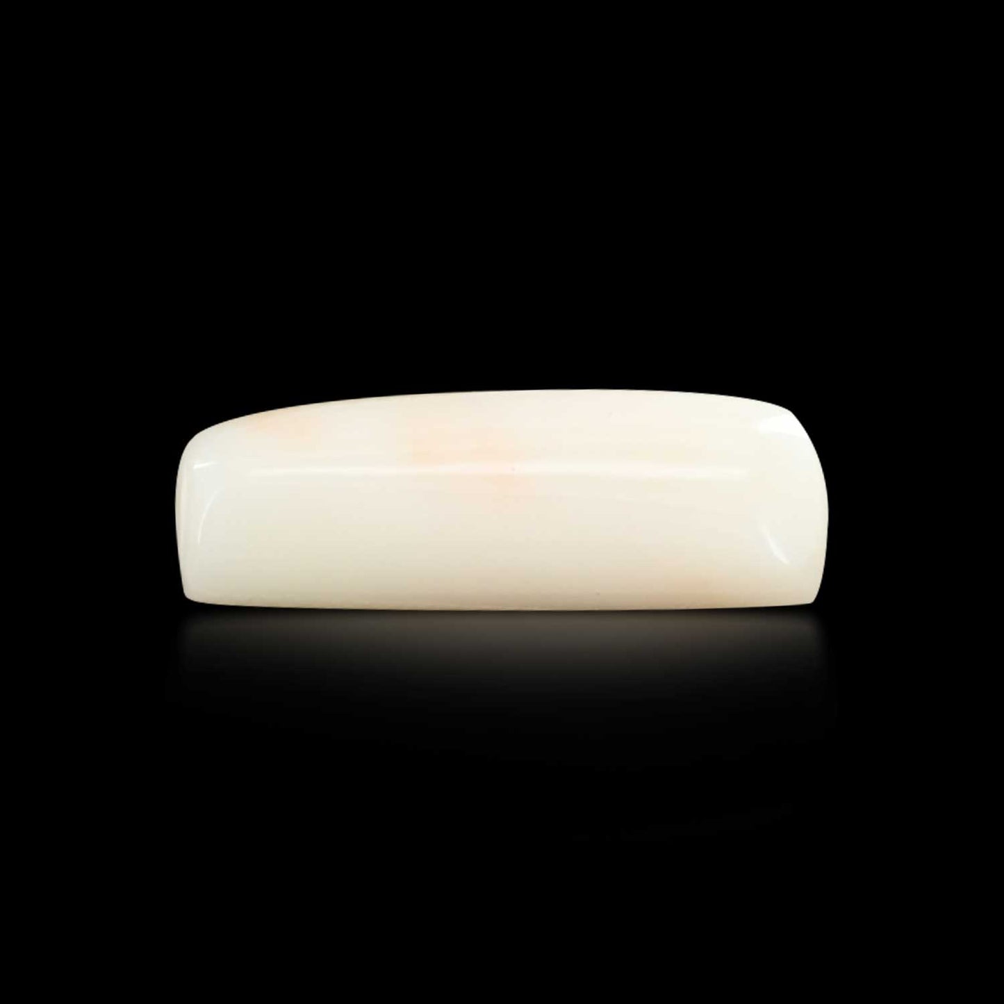 Japani White Coral 7.48 Carat