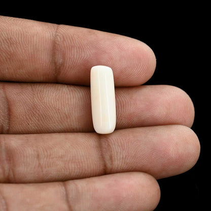 Japani White Coral 7.48 Carat