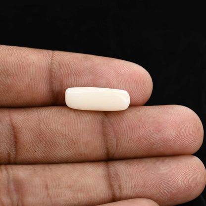 Japani White Coral 5.8 Carat