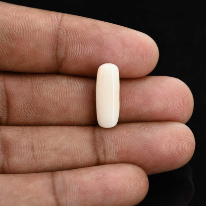 Japani White Coral 5.8 Carat