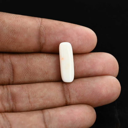 Japani White Coral 7.31 Carat