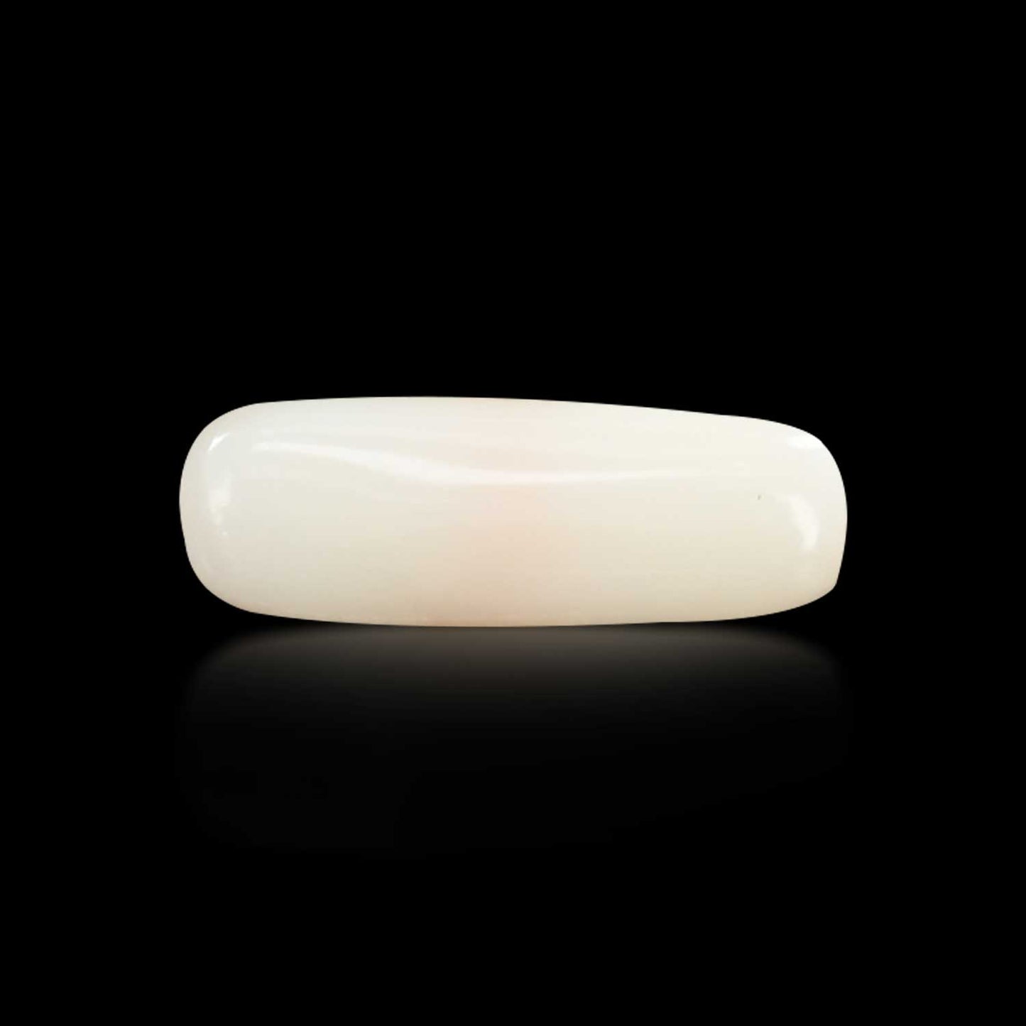 Japani White Coral 6.22 Carat