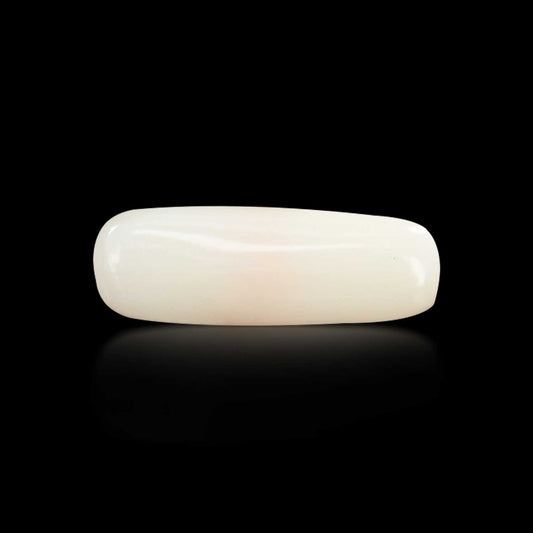 Japani White Coral 6.22 Carat