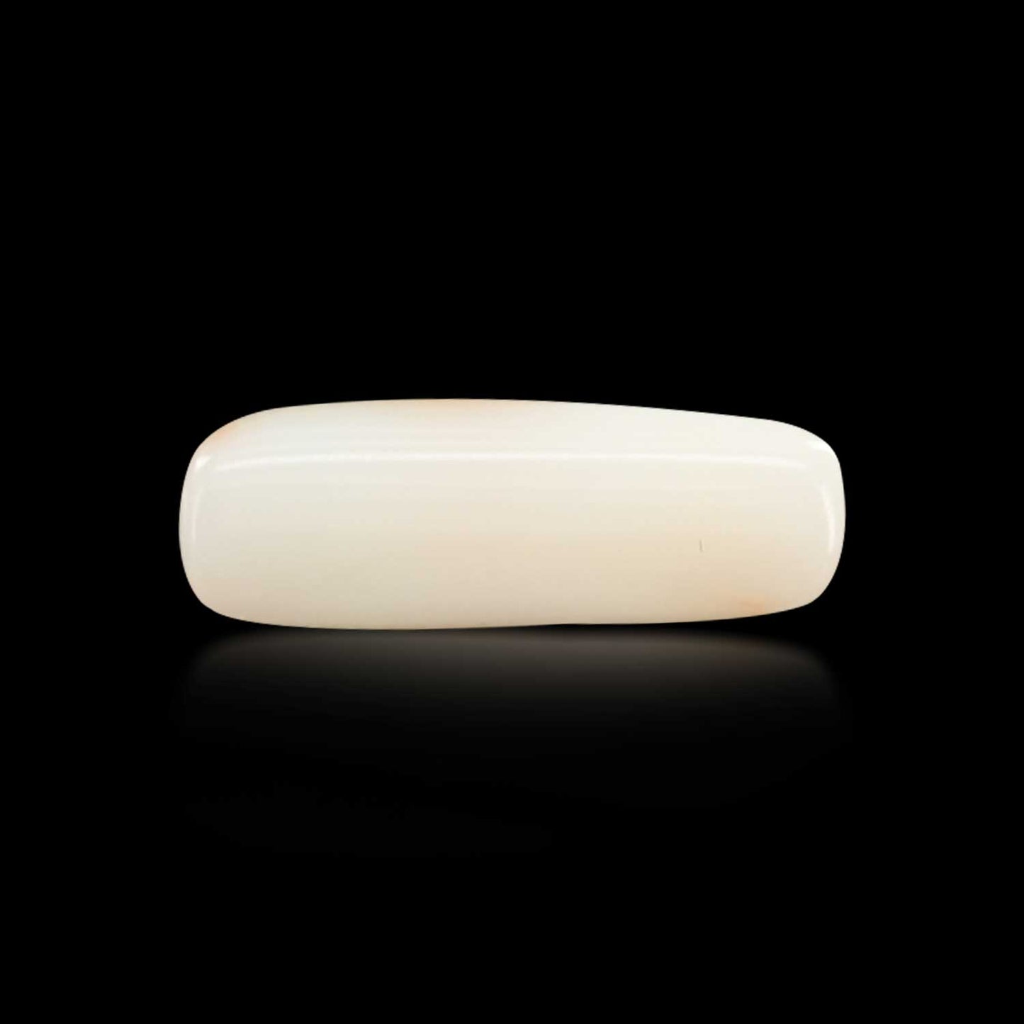 Japani White Coral 6.22 Carat