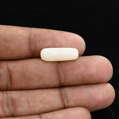 Japani White Coral 6.22 Carat