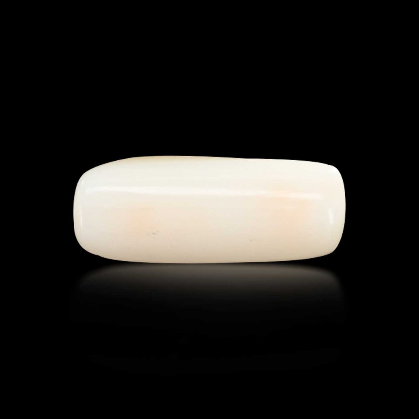 Japani White Coral 7.12 Carat