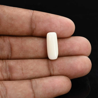Japani White Coral 7.12 Carat