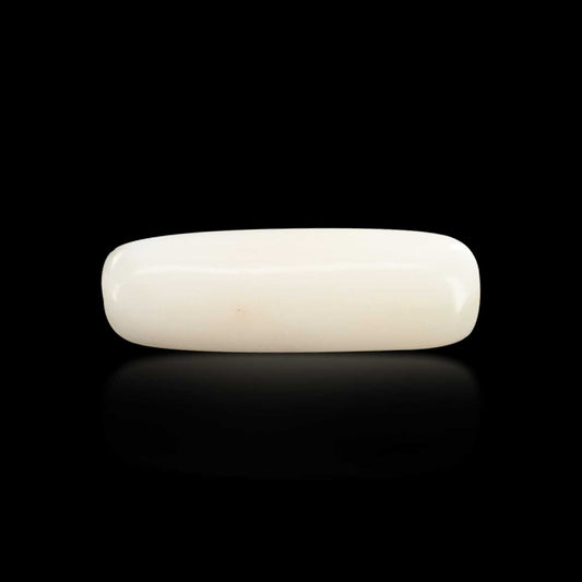 Japani White Coral 6.96 Carat