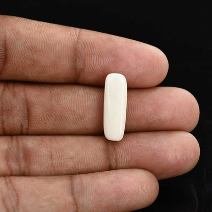 Japani White Coral 6.96 Carat