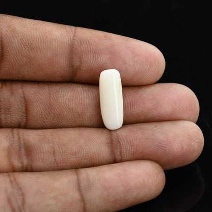 Japani White Coral 5.85 Carat
