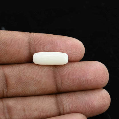 Japani White Coral 5.85 Carat