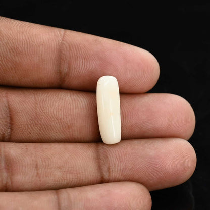 Japani White Coral 6.21 Carat
