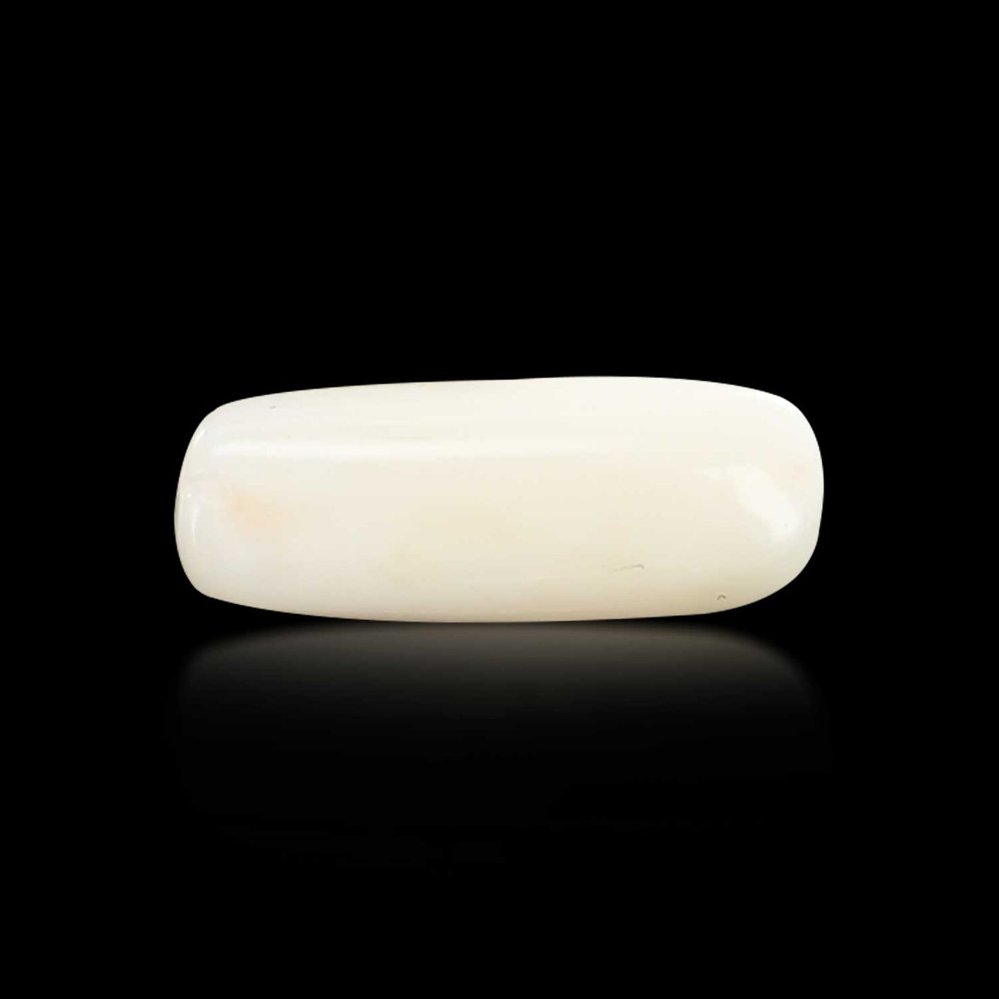 Japani White Coral 7.81 Carat