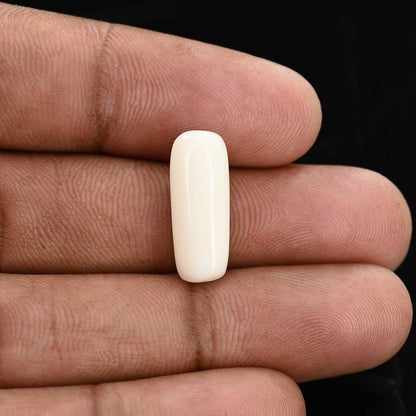 Japani White Coral 7.81 Carat