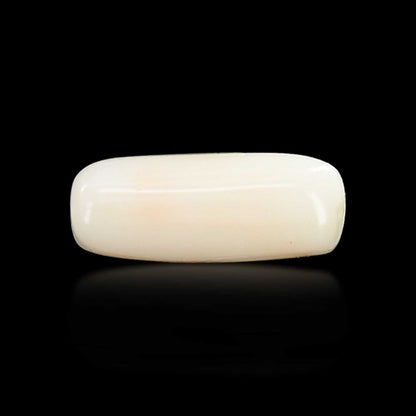 Japani White Coral 5.53 Carat