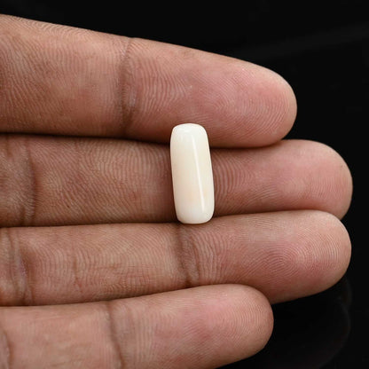 Japani White Coral 5.53 Carat