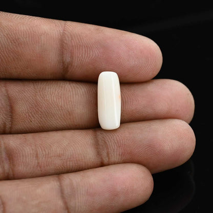 Japani White Coral 5.53 Carat
