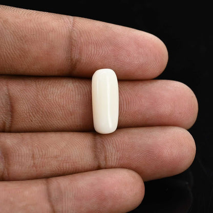 Japani White Coral 7.55 Carat