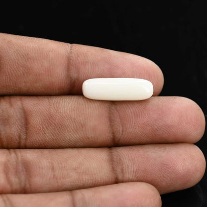 Japani White Coral 6.54 Carat
