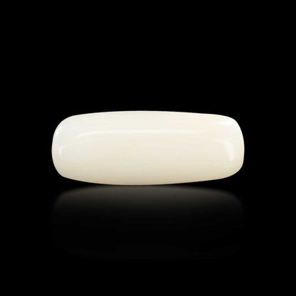 Japani White Coral 8.22 Carat