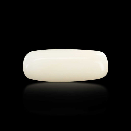 Japani White Coral 8.22 Carat