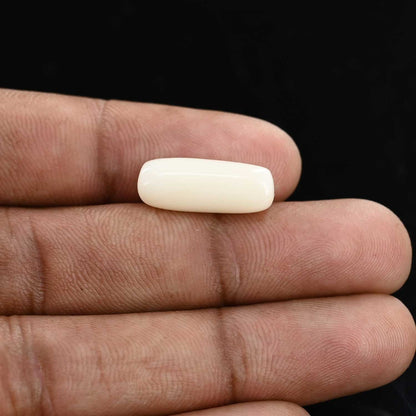 Japani White Coral 8.22 Carat