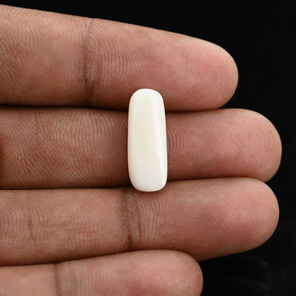 Japani White Coral 6.85 Carat