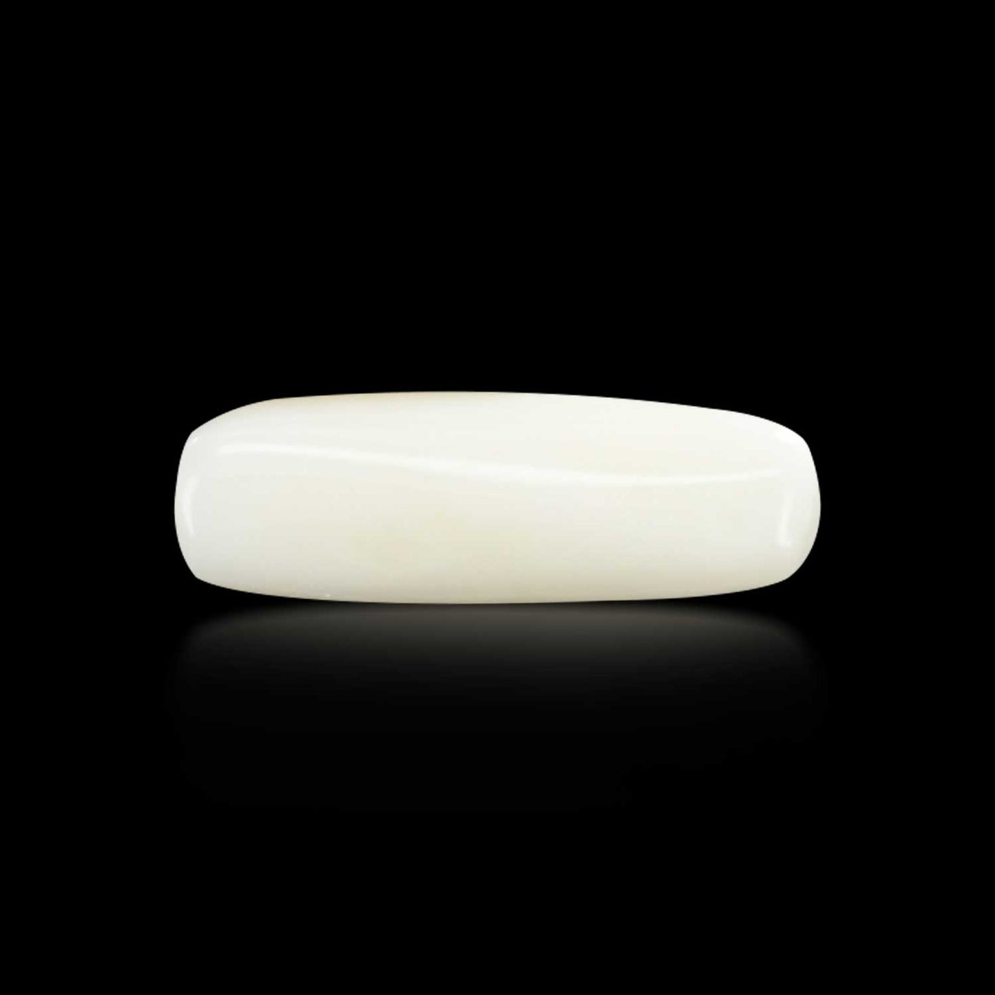 Japani White Coral 5.98 Carat