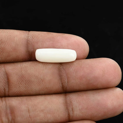 Japani White Coral 5.98 Carat
