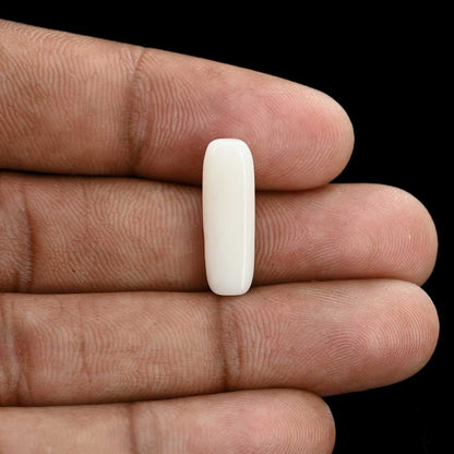Japani White Coral 5.98 Carat
