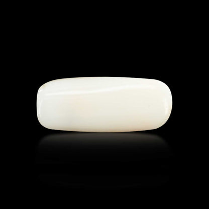 Japani White Coral 6.82 Carat