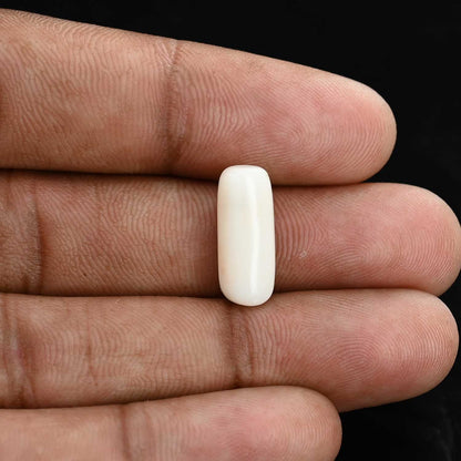 Japani White Coral 6.82 Carat