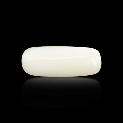 Japani White Coral 7.25 Carat